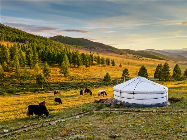 Naadam Festival vacations in Mongolia