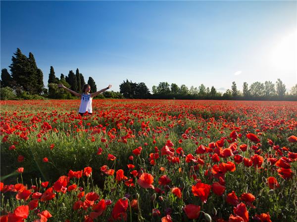 Cycling vacation in Provence