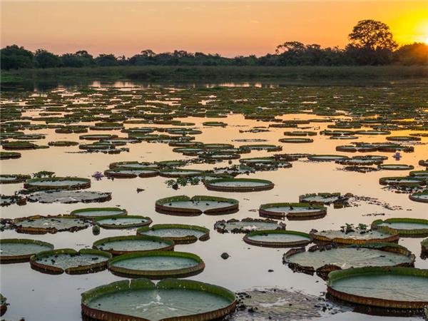 Brazilian Amazon by boat vacation