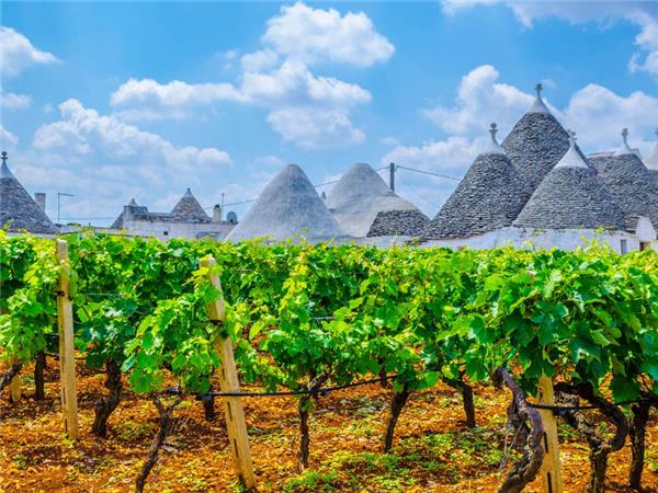 Highlights of Puglia vacation