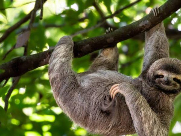 Best of Costa Rica tour