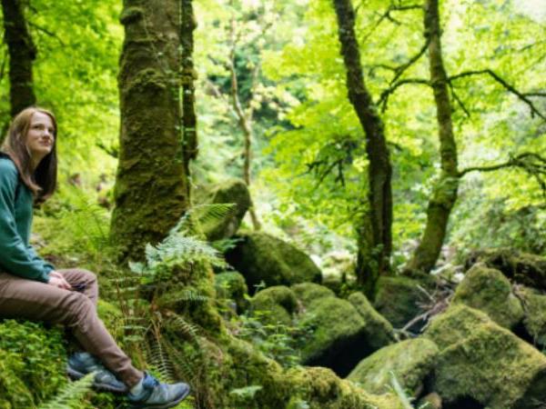 Ring of Kerry walking vacation in Ireland