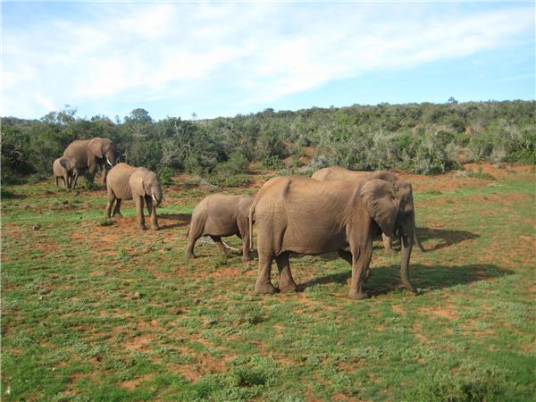 Nairobi to Johannesburg overland tour in Africa