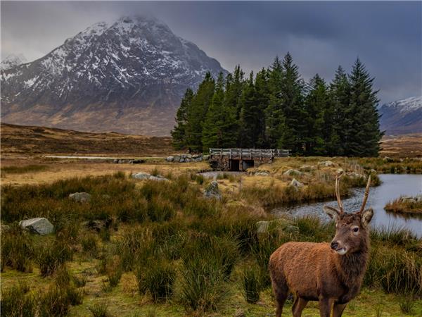 West Highland Way walking short break