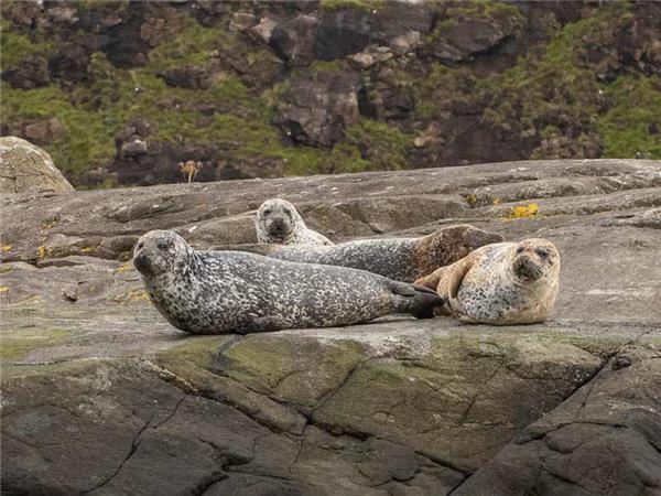 Northumberland wildlife vacation, England