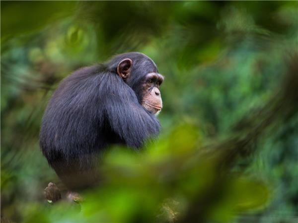 Sierra Leone small group tour
