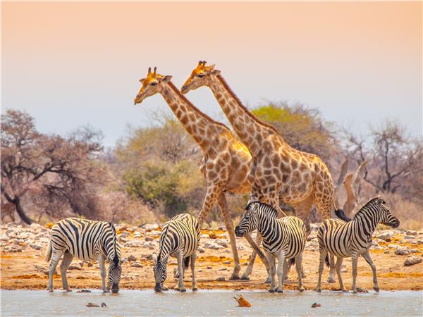Family safari in Namibia