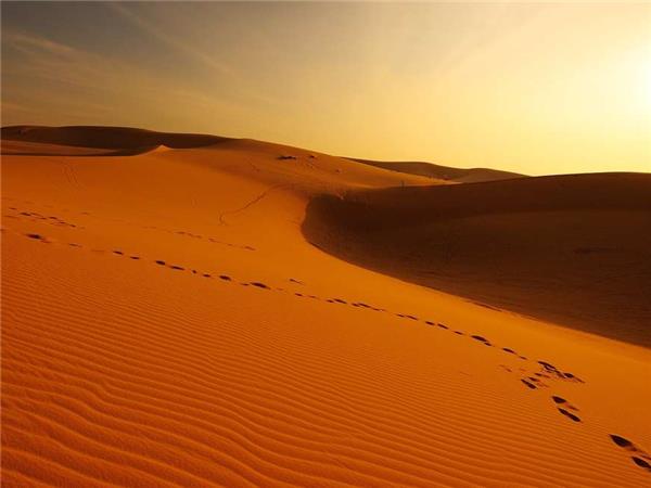 Oman vacations, Arabian sands