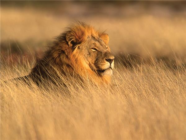 Victoria Falls to Cape Town small group vacation