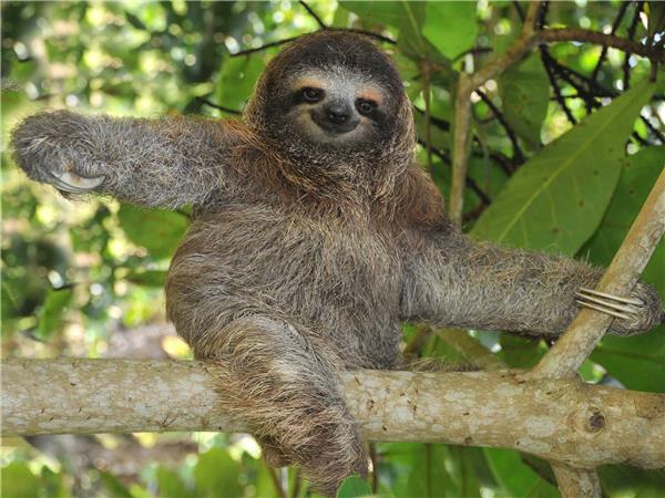 Costa Rica tour