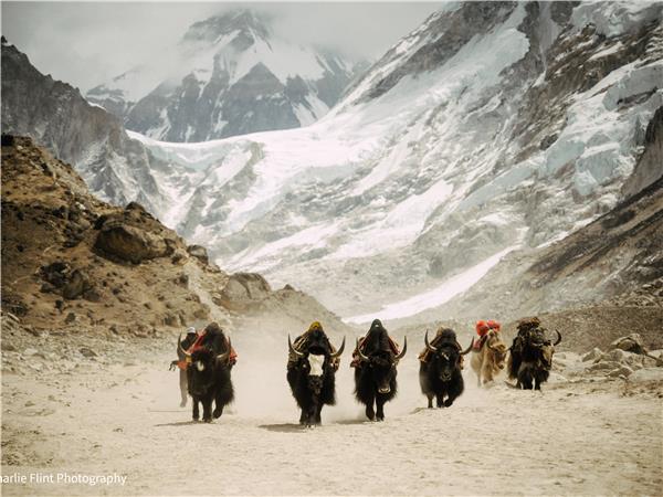 Everest Base Camp and Gokyo lakes trek in Nepal