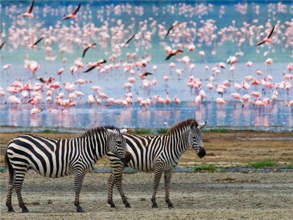 Highlights of Kenya small group vacation