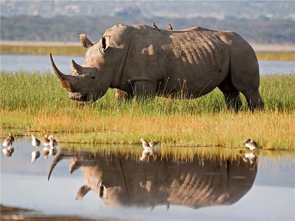 Premium Kenya small group vacation