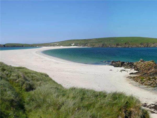 Shetland Isles wildlife vacation