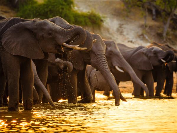 Vic Falls to Cape Town vacation in Southern Africa