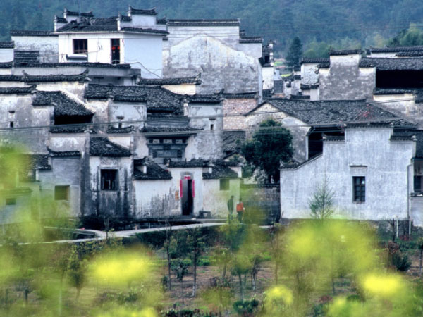 Yellow Mt walking tour, China