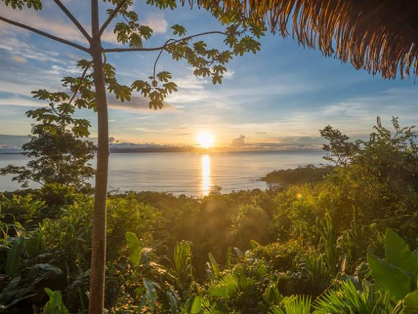 Tailor made Costa Rica wildlife vacation
