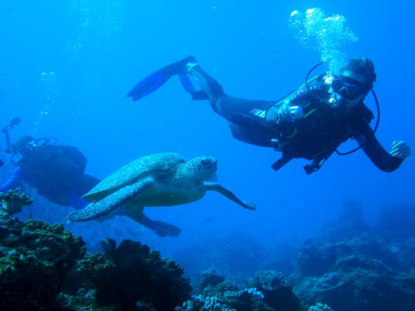 Scuba diving conservation projects & vacations - Responsible Travel