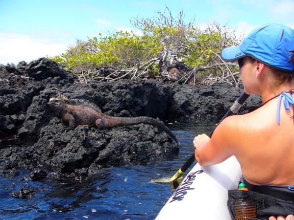 Galapagos activity vacation, tailor made