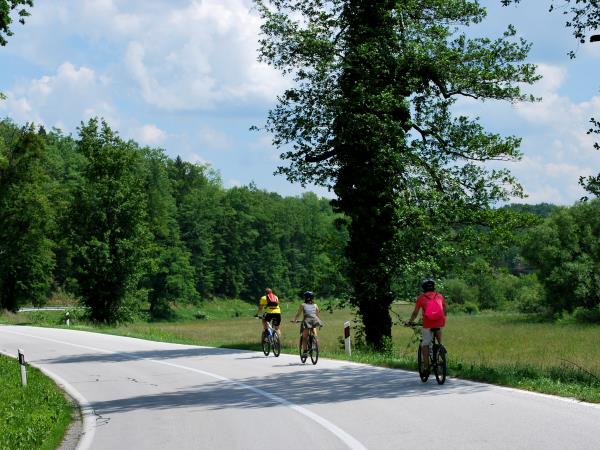 Croatia coast and national parks activity vacation