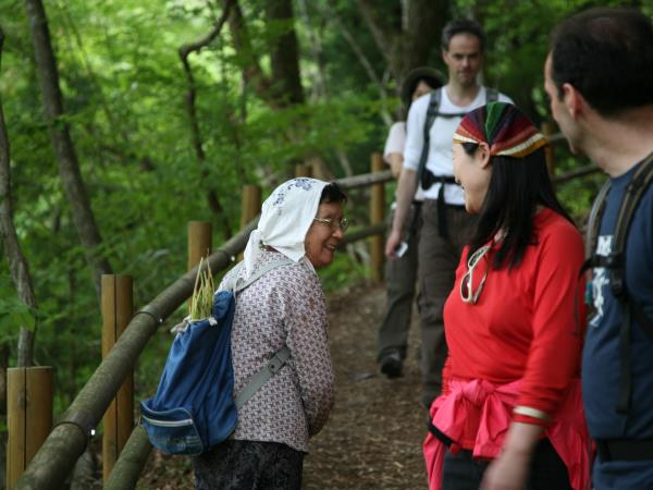 Nakasendo Trail walking tour, Japan