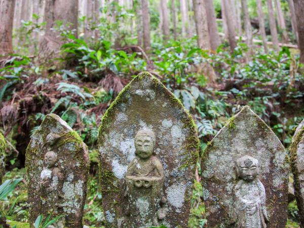 Kumano Kodo trekking vacation, Japan