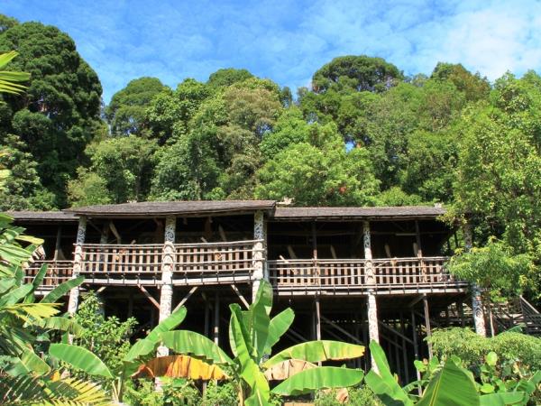 Borneo wildlife vacation, Sarawak