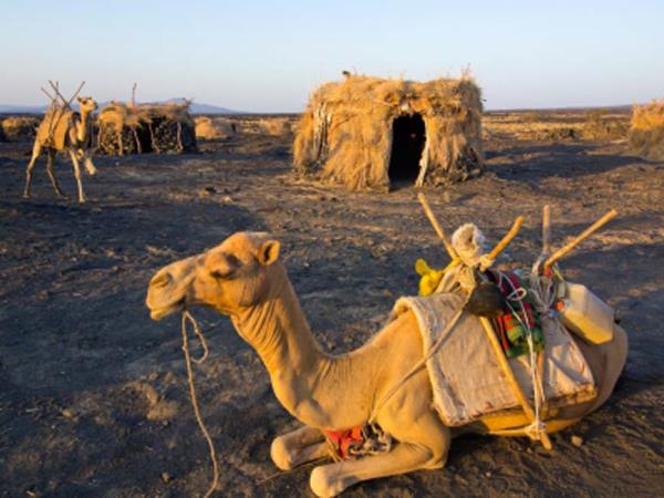 Ethiopia & Djibouti holiday, Danakil Depression