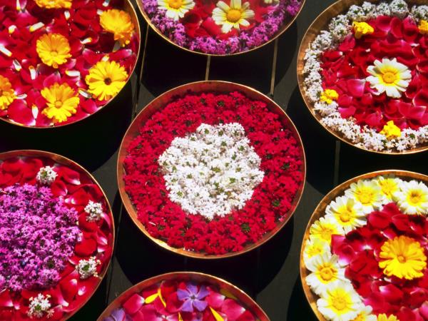 Himalaya and Golden Temple tour, India 