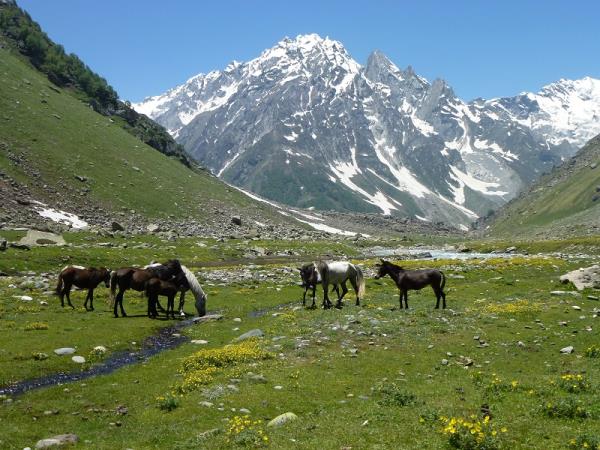 North India vacation, mountains and hidden villages