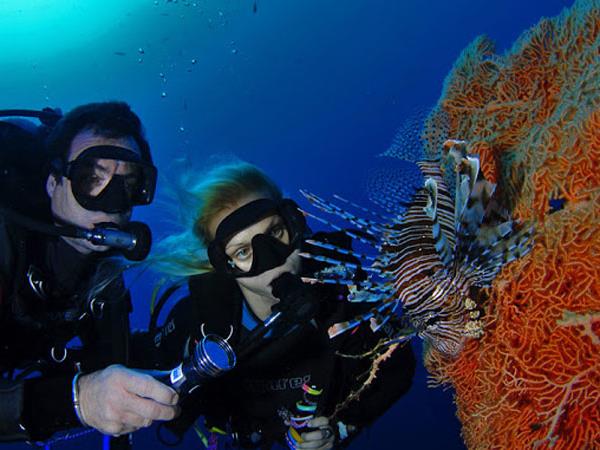 Best of Egypt and Sharm El Sheikh vacation