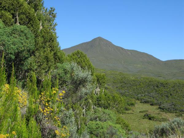 Mount Kenya walking vacation