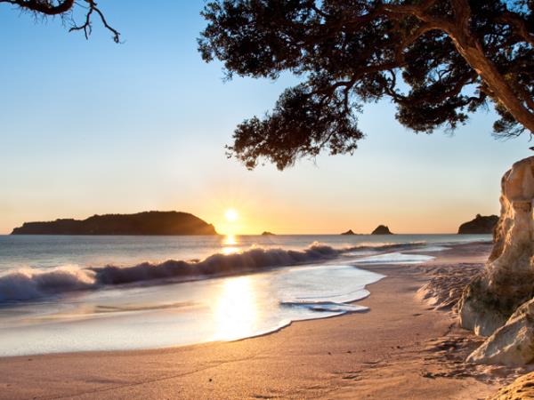New Zealand 21 day small group tour 