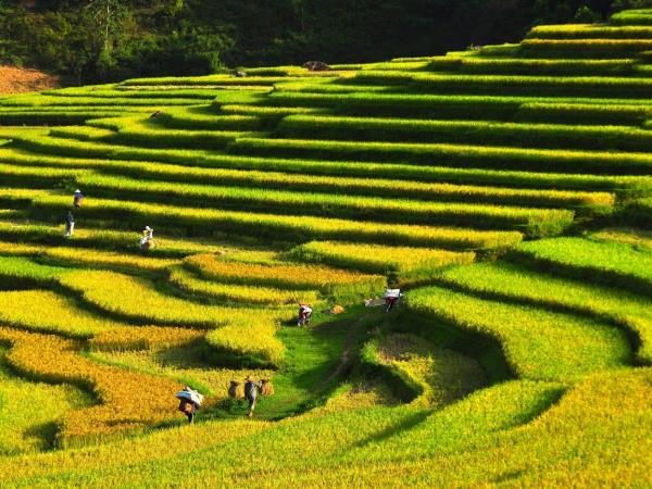 Vietnam hill tribe trekking vacation, 5 days