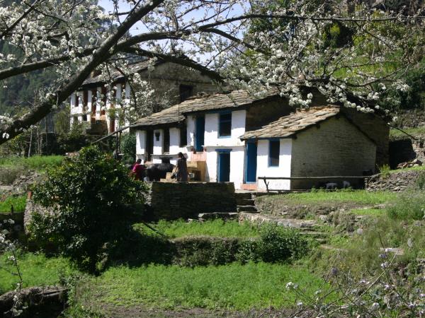 Indian Himalayas trekking holiday