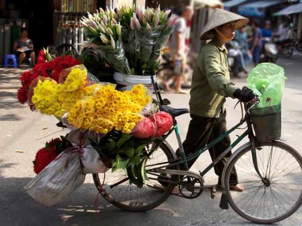 Vietnam tours, tailor made