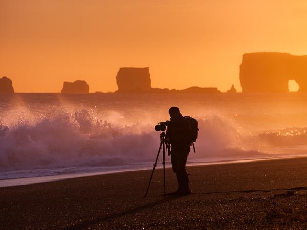 Wildlife Photo Tours