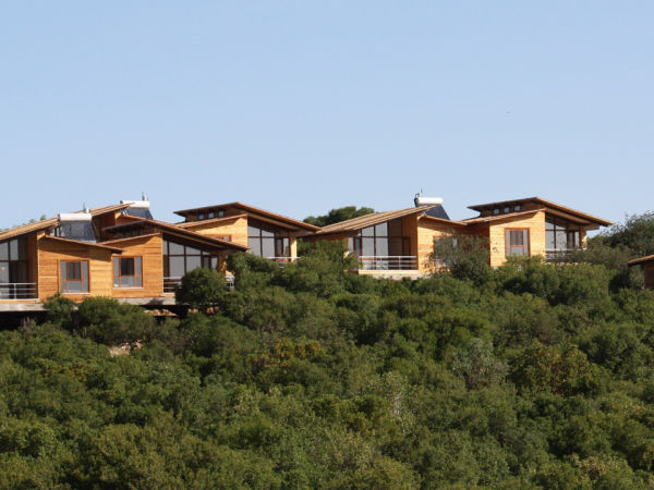 Highlights and nature tour in Jordan