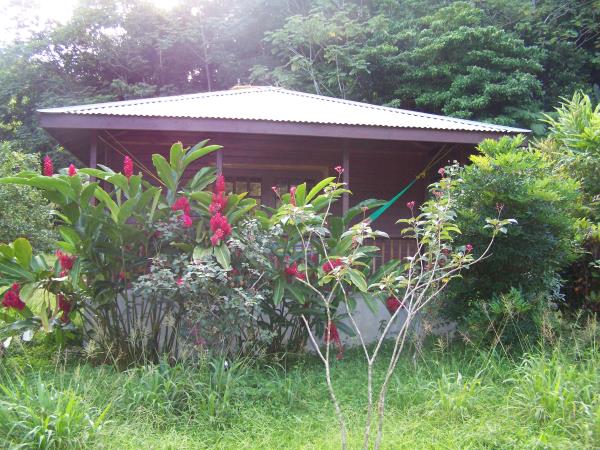 Dominica ecolodge vacation