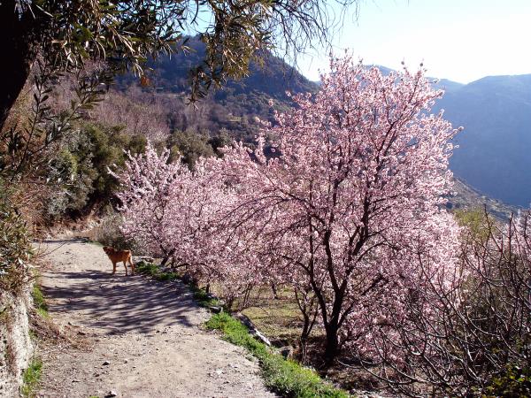 Las Alpujarras hiking vacation, Spain