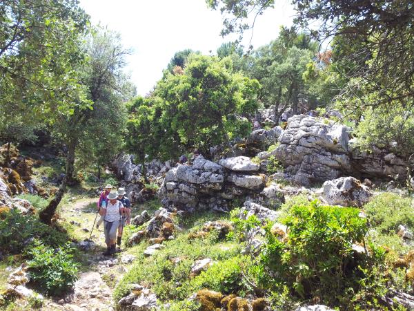 Guided hiking vacations hotsell