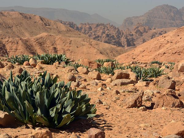 Jordan hiking vacation, Petra to Wadi Rum