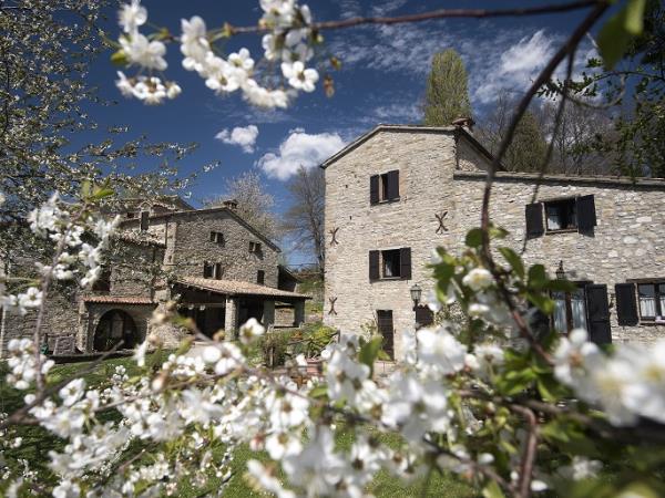 Umbria farmhouse accommodation in Italy