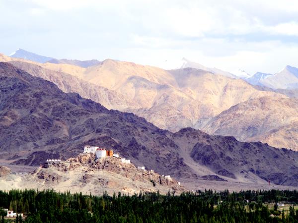 Ladakh and Changtang cultural tour, India 