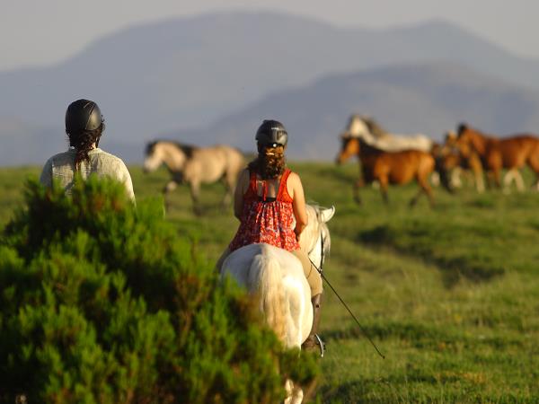 North Portugal horse riding vacation