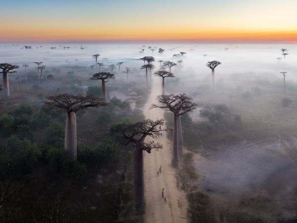 Madagascar Photography vacation