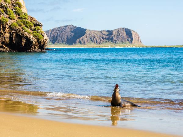 Ecuador and Galapagos vacation, 23 days