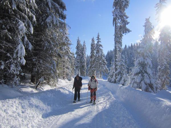 Romania ski touring vacation