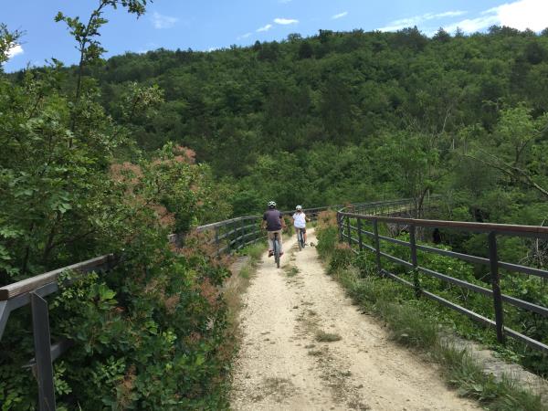 Gravel bike tour from Triest to Pula