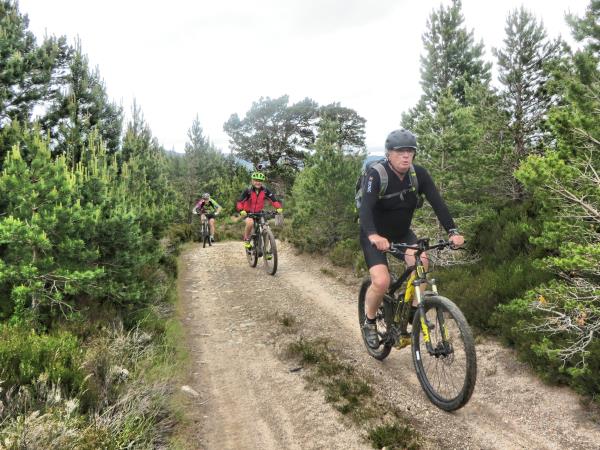 Mountain biking sales vacations